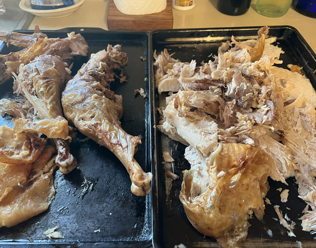 Turkey from Thanksgiving